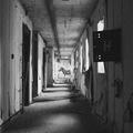 delirium treme&hellip;