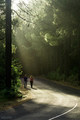 Walk in the pa&hellip;