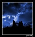THE SILENCE OF&hellip;