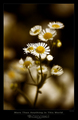 More Than Anyt&hellip;