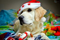 Georg u advent&hellip;