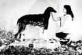 Dober-Kopp Bla&hellip;
