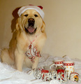 Bili ste dobri&hellip;