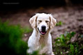 Hi hi... moja &hellip;