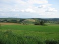 ZELENA PROSTRA&hellip;