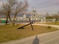 Pogled