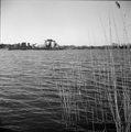 ljetna-vodena-&hellip;