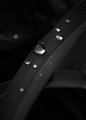 tears in heave&hellip;