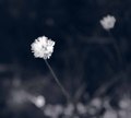 there must be &hellip;