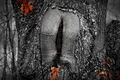 levi's 50&hellip;