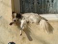 umoran od čeka&hellip;