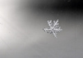 Ozlijeđena pah&hellip;