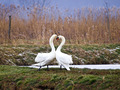 Sretno Valenti&hellip;