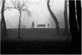 Jutranji Potic&hellip;