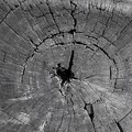 Cracked though&hellip;
