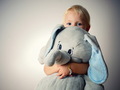  Elephant in t&hellip;