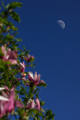 Proljetna mjes&hellip;