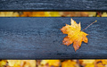 List i klupa -&hellip;