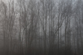 schumsky land &hellip;