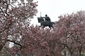 U kraljevstvu &hellip;