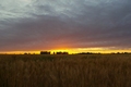 Suton nad ravn&hellip;