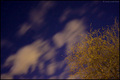 Starry starry &hellip;