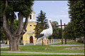 Velika bijela &hellip;