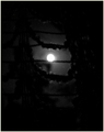 Full moon last&hellip;