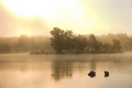 Magla, otok, l&hellip;