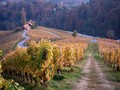 Boje jeseni - &hellip;