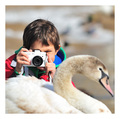 Nikon Assignme&hellip;