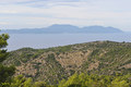 Hvar (i Vis)