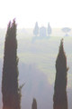 Madonna di Vit&hellip;