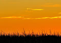 Paint the sky &hellip;