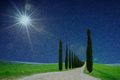 Van Gogh u  To&hellip;