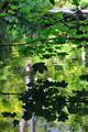 Vodeno ogledal&hellip;