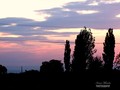 Nešto kao zala&hellip;