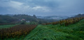 Jutro u vinogr&hellip;