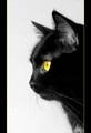Profil Miss Br&hellip;