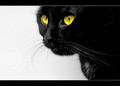 Portret Miss B&hellip;