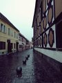Kišni Varaždin&hellip;