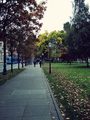 Zagrebačkim ul&hellip;