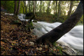 Plitvička svil&hellip;