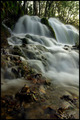 Plitvička svil&hellip;
