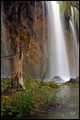 Plitvička svil&hellip;