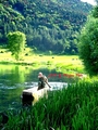 Plav na rijeci&hellip;