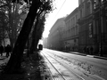 ulična jesenjs&hellip;