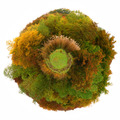 PLANETICA LIKA&hellip;
