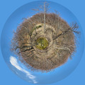 PLANETICA LIKA&hellip;