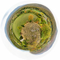 PLANETICA LIKA&hellip;